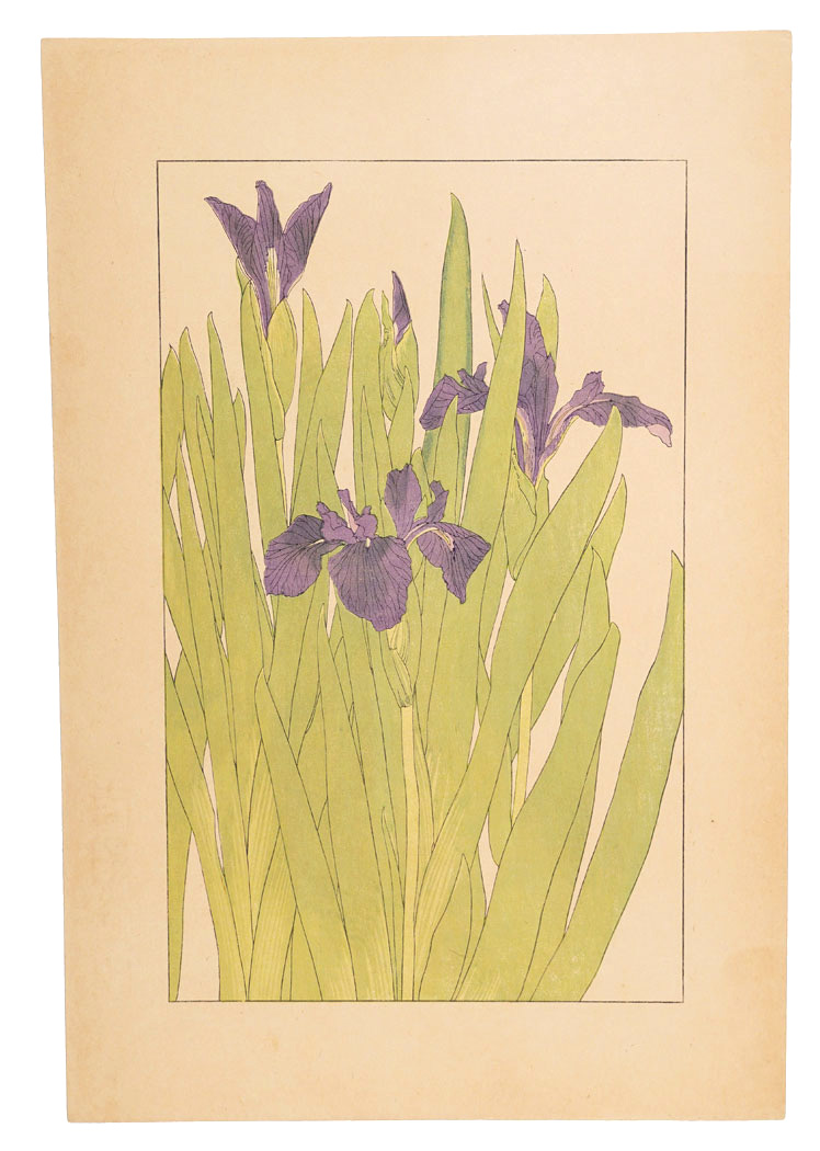 杉浦非水「燕子花」