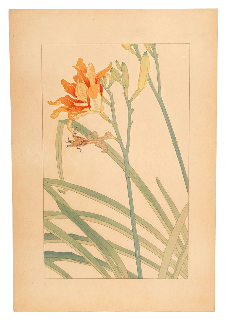 杉浦非水「籔萱草」