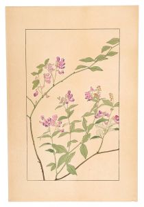 杉浦非水「南天萩」