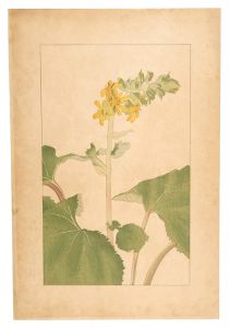 杉浦非水「男宝香」