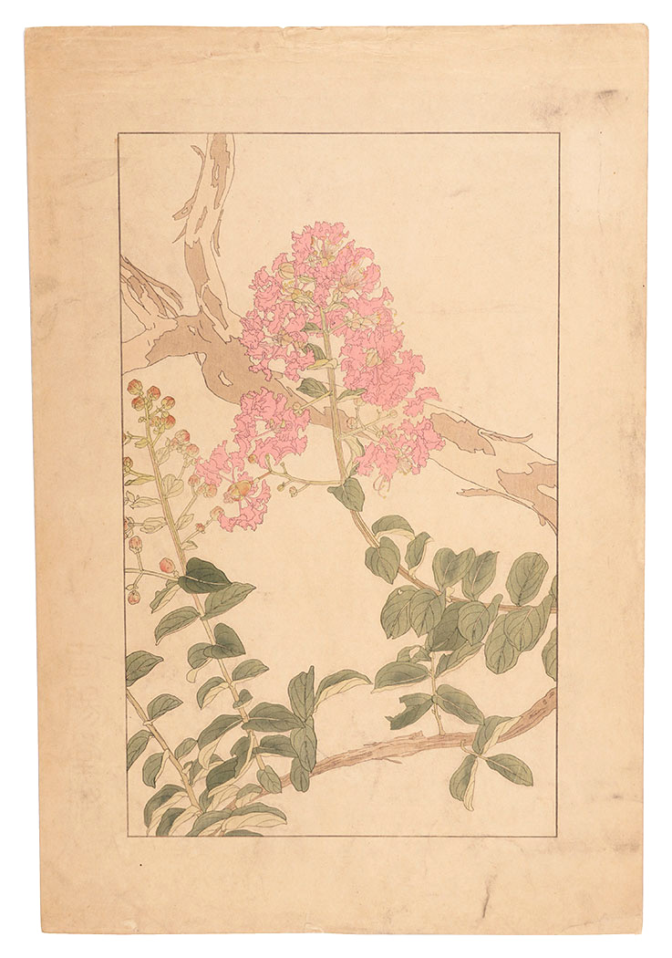 杉浦非水「百日紅」