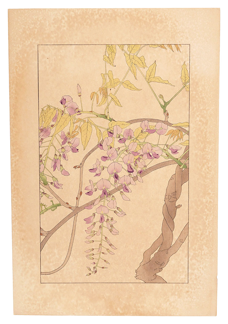 杉浦非水「藤」