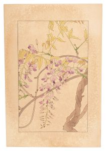 杉浦非水「藤」