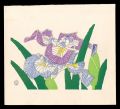 Iris(tentative title)