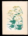 Japanese Alpine Plants / Patri......