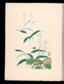 Japanese Alpine Plants / Ichiy......