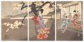 Chiyoda Inner Palace / Cherry ......