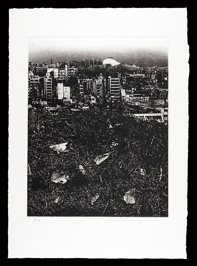 中林忠良「平成富嶽三十六景　転位’91-地-富嶽」