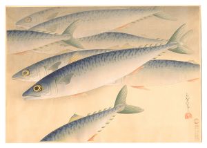 大野麥風「大日本魚類画集　第二輯ノ四 サバ」