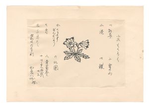 加藤八洲「小品集」