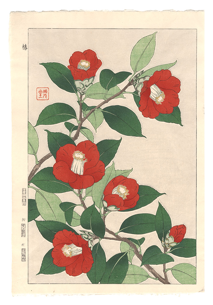 河原崎奨堂「日本の花こよみ　ツバキ（椿）」