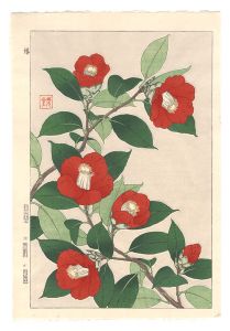河原崎奨堂「日本の花こよみ　ツバキ（椿）」