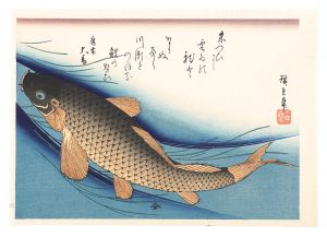 広重初代「魚づくし　鯉【復刻版】」