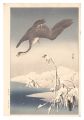 Flying Bird in Snow (tentative......