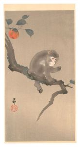小原古邨（祥邨）「柿に猿」