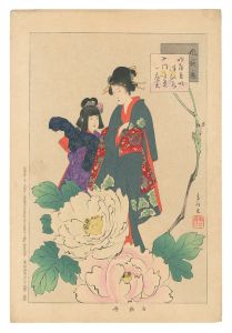 風俗通　白牡丹　／　春汀