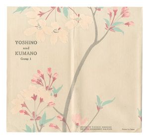 Iwata Masami, Mochizuki Shunko, Murashima Yuichi, Nagata Shunsui, Nishizawa Tekiho and Noguchi Kenjiro / Woodblock Postcards / Yoshino and Kumano, Group 1