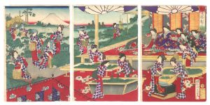 Chikanobu / Tea Making in Early Summer [初夏茶製之図]