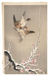 雪中梅に雀（仮題）　／　小原古邨（祥邨）
