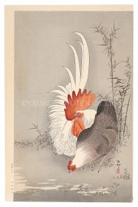 つがいの鶏（仮題）　／　小原古邨（祥邨）