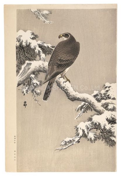 小原古邨（祥邨）「雪中の鷲（仮題）」