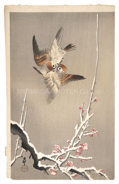 小原古邨（祥邨）「雪中梅に雀（仮題）」