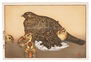 Yoshida Toshi / Grouse