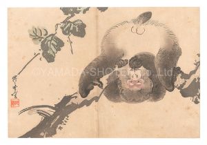 猿（仮題）