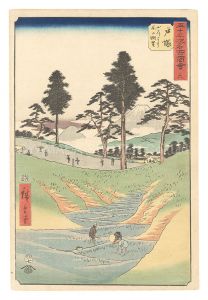 Hiroshige I / Famous Sights of the Fifty-three Stations / No. 6, Totsuka: View of Fuji from the Mountain Road [五十三次名所図会　六　戸塚 山道より不二眺望]
