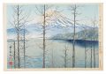 Thirty-Six Views of Mt. Fuji /......