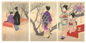 Shuntei / Twelve Months of Beauties / No. 2: Viewing Plum Blossoms [美人十二ヶ月　其ニ 観梅]