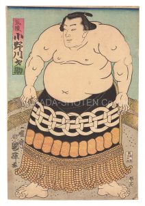 相撲絵　筑後 小野川才助