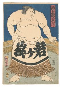 相撲絵　君ヶ嶽八五郎