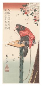 Hiroshige I / Pet Monkey and Cherry Blossoms【Reproduction】 [桜に猿【復刻版】]