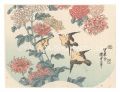 Yellow Warblers and Chrysanthe......