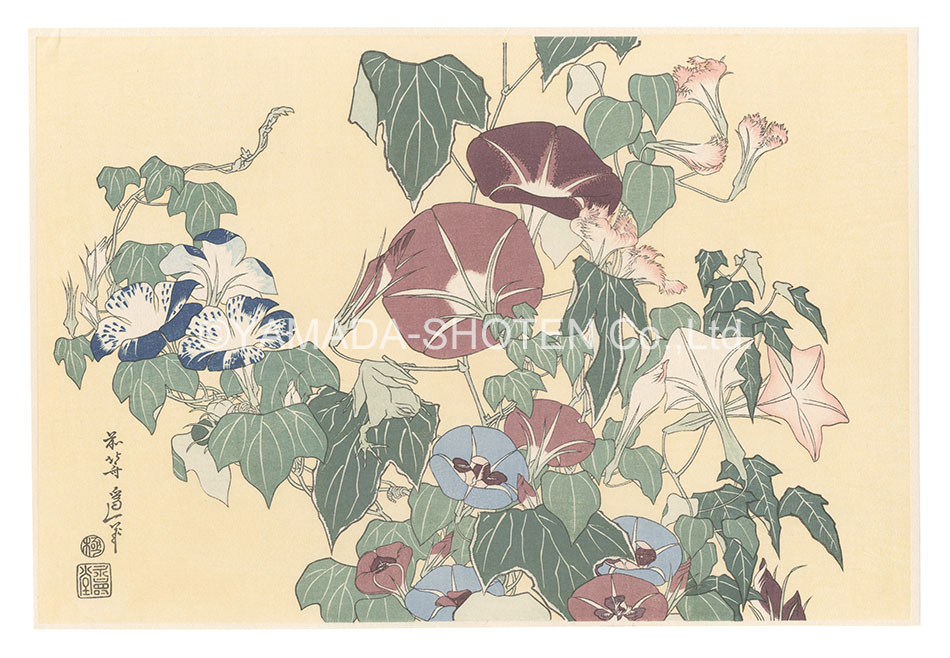 Hokusai “Morning Glories and Tree Frog【Reproduction】”