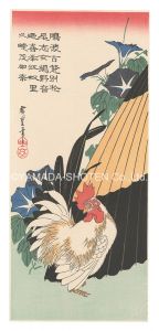 Hiroshige I / Morning Glories and White Rooster【Reproduction】 [朝顔に鶏【復刻版】]