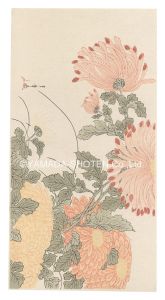 Shunsho / Chrysanthemums【Reproduction】 [乱菊【復刻版】]