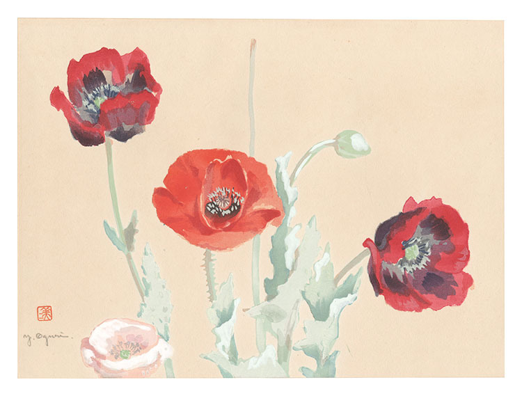 Oguri Yoshiji “Picture Album of Various Flowers / Red Poppy”