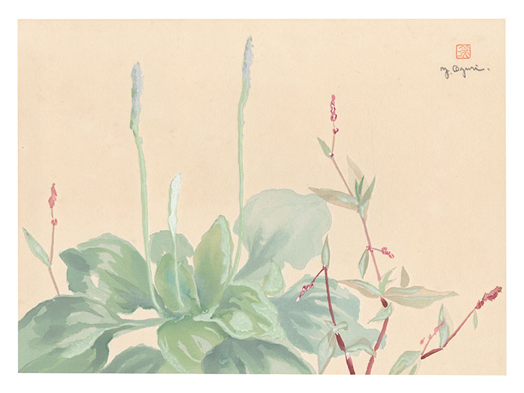 小栗美二「萬華画譜　おほばこ」