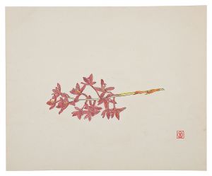 陶画集より　蘭花
