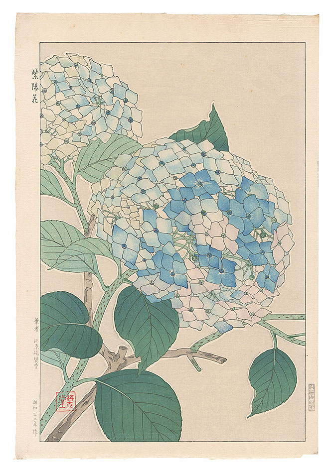 Kawarazaki Shodo “Hydrangea”
