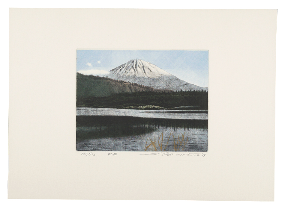 Okamoto Shogo “Thirty-six Views of Mt. Fuji in the HEISEI period：Saiko”