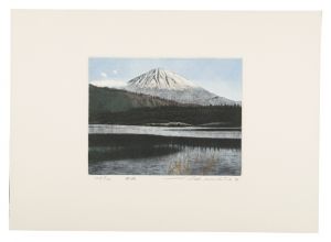 Okamoto Shogo / Thirty-six Views of Mt. Fuji in the HEISEI period：Saiko