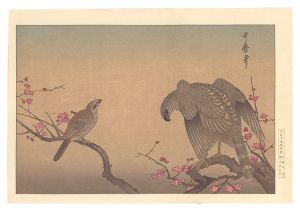 紅梅に鷹【復刻版】　／　歌麿