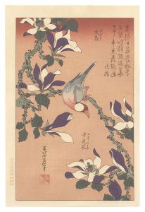 文鳥 辛夷花【復刻版】　／　北斎