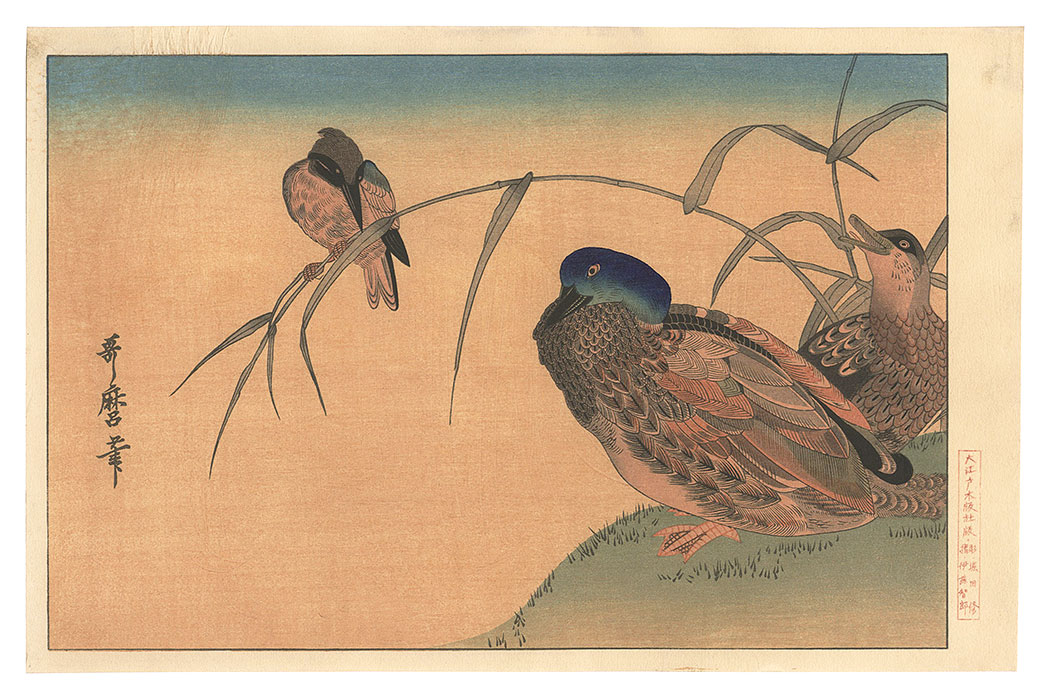 Utamaro “Mallard Ducks and Kingfisher【Reproduction】”