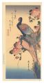 Peacock【Reproduction】