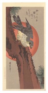 松に鷹【復刻版】　／　広重初代