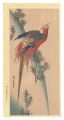 Pheasant and Small Pine Trees【......